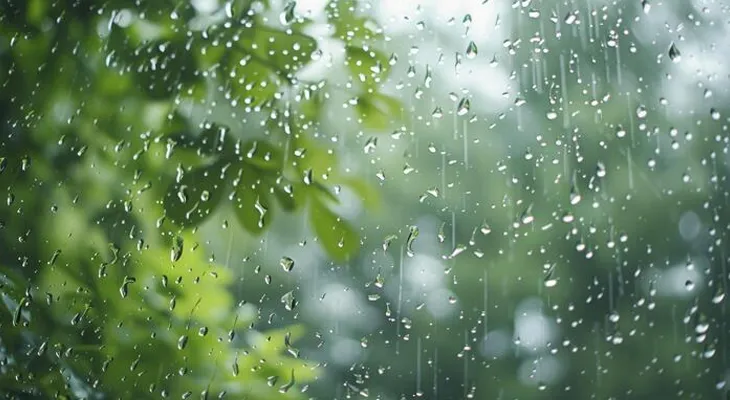 ‘আজ ঝেঁপে বৃষ্টি’... কত টাকা বাজি? বড়বাজারে চলত রেইন গ্যাম্বলিং, নিষিদ্ধ করে ইংরেজরা