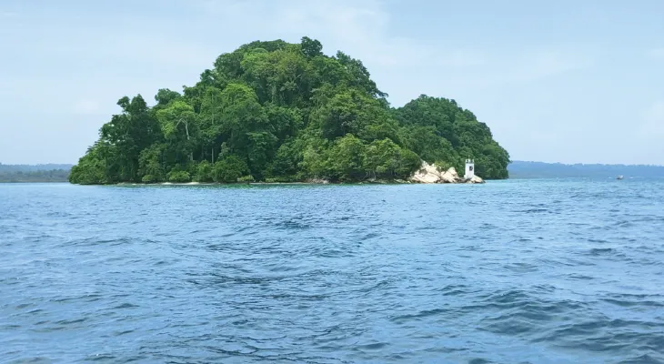 দ্বীপের রাজা হ্যাভলক