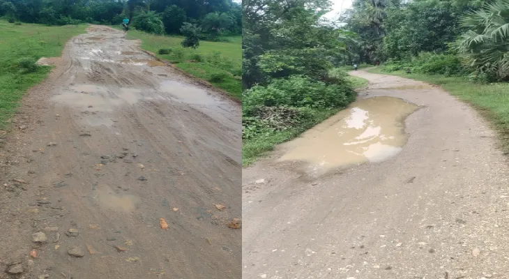 সাঁতুড়ির হাঁসডিমা-পোড়াডিহা গ্রামীণ রাস্তার বেহাল দশা, পাকা করার দাবি