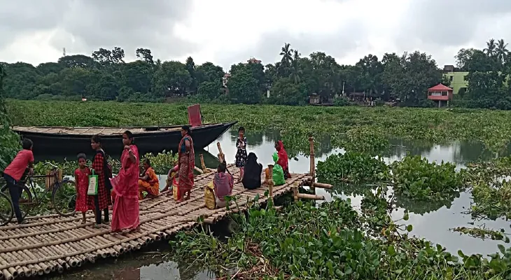 কচুরিপানার জন্য বন্ধ ছিল তেহট্ট ফেরিঘাট, সাড়ে পাঁচ ঘণ্টা পর আবার ফেরি চলাচল স্বাভাবিক হয়