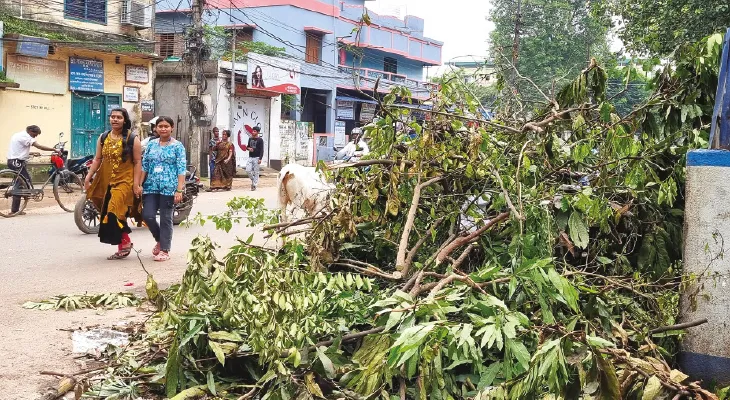 সাফাইয়ের পর আবর্জনা ফেললেই মোটা অঙ্কের জরিমানা, নোটিস পাঠানো শুরু
