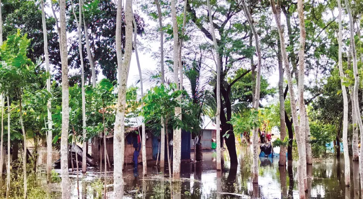 জলমগ্ন বনগাঁ-বারাসতের বিস্তীর্ণ এলাকা, দুর্গতদের জন্য খোলা হল ১৪টি ত্রাণ শিবির