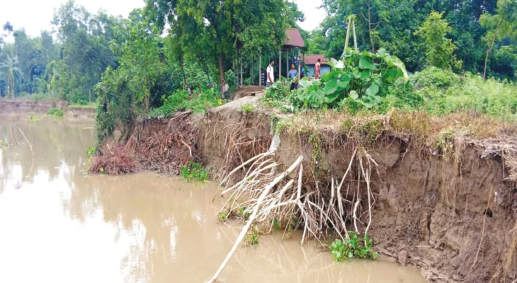 অগ্রদীপের চরবিষ্ণুপুরে ফের ভয়াবহ ভাঙন শুরু, ভাগীরথীতে একের পর এক উপড়ে পড়ছে গাছ