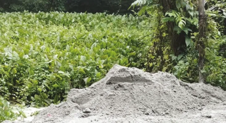 মহেশতলায় রাতের অন্ধকারে পুকুর ভরাট, হাতেনাতে ধরলেন স্থানীয়রা