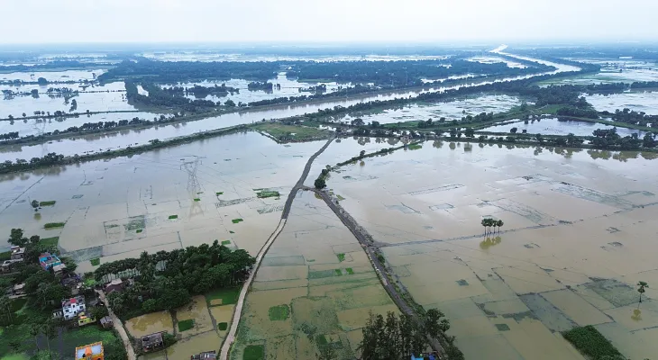 ডিভিসির জলে জমিতে প্লাবন, আমতায় চাষের ক্ষতিতে কপালে ভাঁজ কৃষকদের
