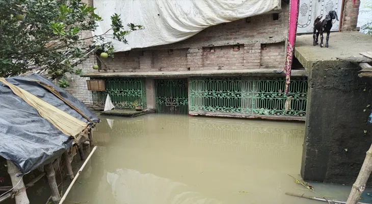 কুয়ে নদীর জলে প্লাবিত মুর্শিদাবাদের বড়ঞা ব্লকের সোনাভাড়ুই গ্রাম, জল জমেছে কয়েক ফুট পর্যন্ত, আতঙ্কিত বাসিন্দারা