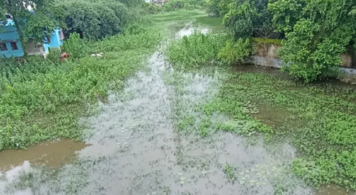 ঝাড়গ্রামের মানিকপাড়ায় নালার জমা জলে দুর্ভোগ, চুপ প্রশাসন