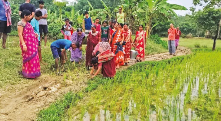 কাঁচা রাস্তায় ধানের চারা পুঁতে বিক্ষোভ জলঘরের ত্রিকূলে