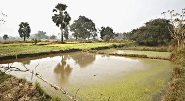 বাঁকুড়ায় ভূমি দপ্তরের আওতায় থাকা জলাশয়গুলি নিলামে তোলার উদ্যোগ