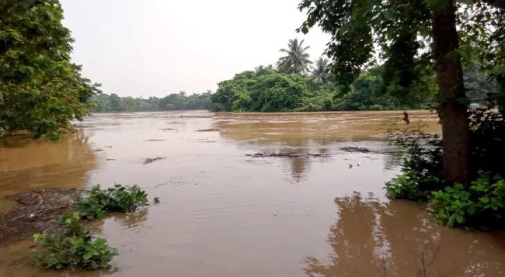 খড়গ্রামের ঝিল্লিতে ফের বন্যা, ব্রাহ্মণীর জলে প্লাবিত কৃষিজমি