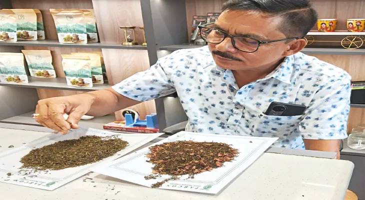 চায়ের এবার সোনালি স্বাদ, দুবাইয়ে যাচ্ছে মাঝেরডাবরির ‘গোল্ডেন টি’