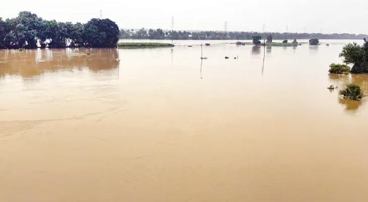 বৃষ্টি-নদীর জলে প্লাবিত ২২ হাজার হেক্টর জমি, ফসলের ক্ষতির আশঙ্কা