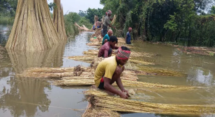 জাঁক দেওয়ার জলের অভাব না হওয়ায়, এবার পাটের গুণমান ভালো হওয়ায় লাভের আশায় চাষিরা