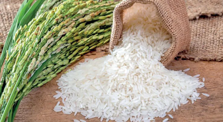 গোবিন্দভোগ চাল একলাফে ২০০ টাকা! পুজোর ভোগ,  খিচুড়িতে পাহাড়িয়া আতপ মিশিয়ে ভেজালের আশঙ্কা!