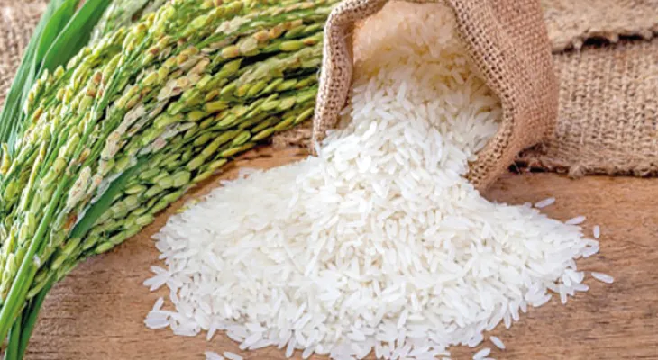গোবিন্দভোগ চাল একলাফে ২০০ টাকা! পুজোর ভোগ,  খিচুড়িতে পাহাড়িয়া আতপ মিশিয়ে ভেজালের আশঙ্কা!
