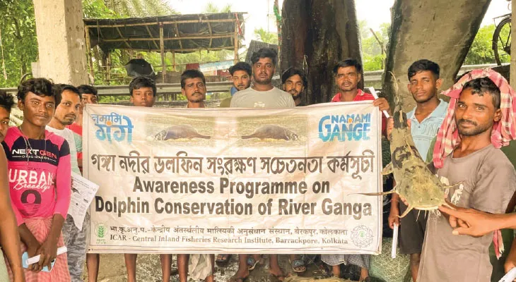 ক্রমশ কমছে গঙ্গার ডলফিন, সংরক্ষণে উদ্যোগ