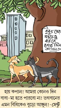 মজারু