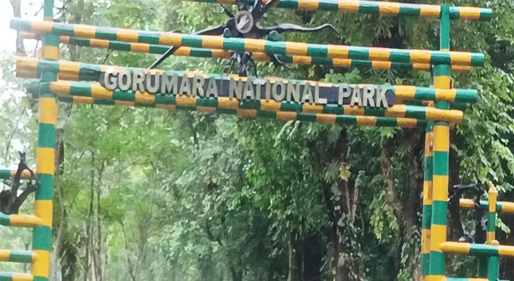 গোরুমারায় তিন নতুন অতিথি! দেখভালে দিনরাত ব্যস্ত বনকর্মীরা, ‘স্কুলে’ যাচ্ছে হস্তীশাবক যোদ্ধা, করছে ঘুরতে যাওয়ার ‘বায়না’