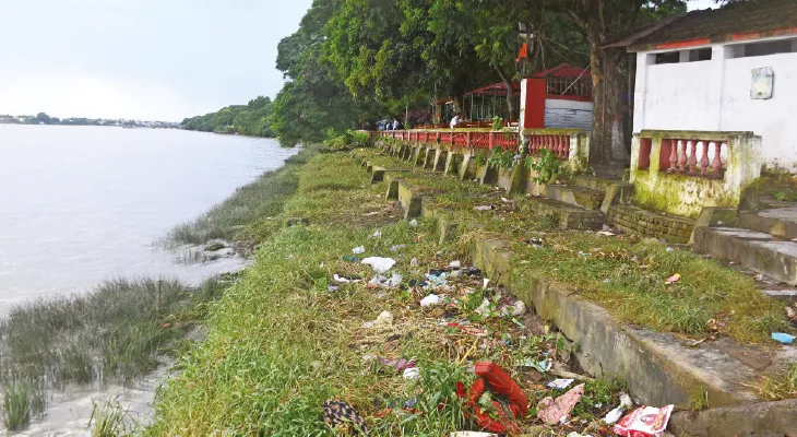 গঙ্গার পাড় রক্ষায় ম্যানগ্রোভ বসানোর প্রস্তাব