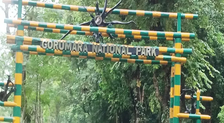 বন্যপ্রাণীদের খাবার ও মানুষের কর্মসংস্থান, দুই কাজই অভিনব উপায়ে হচ্ছে গোরুমারা ও জলদাপাড়ায়