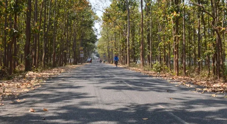 ঝাড়গ্রামের বাতাসে বাড়ছে কার্বন-ডাই অক্সাইড, কমছে অক্সিজেনের পরিমাণ