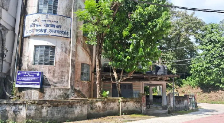 ১০ হাজার থেকে কোটি টাকার প্রকল্প! আদিবাসীদের মাছ চাষে যুক্ত করতে এবার উদ্যোগী রাজ্য