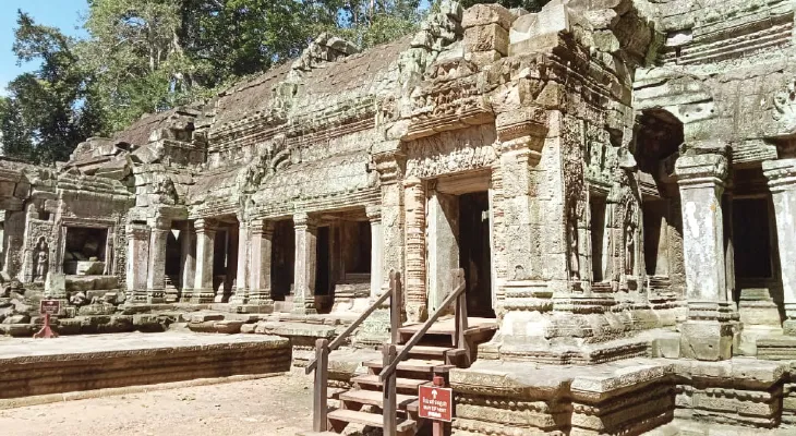 ডানায় রৌদ্র মেখে