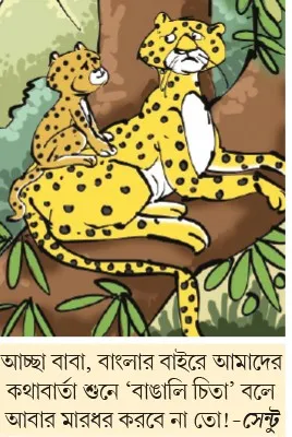 মজারু