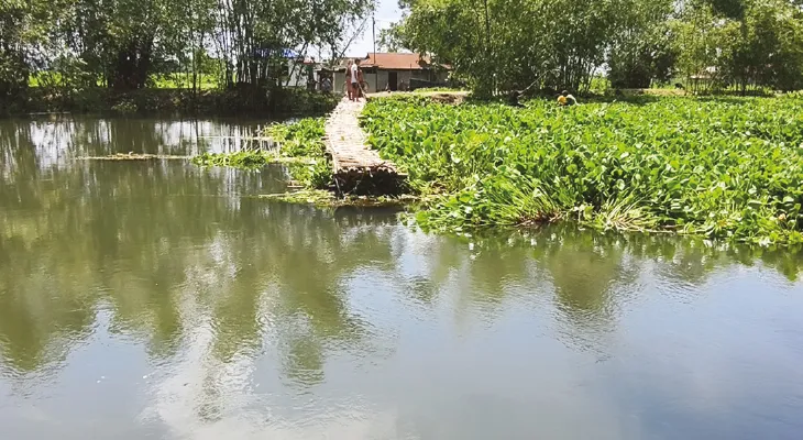 তিস্তার জলে ভেসে গিয়েছে সাঁকো