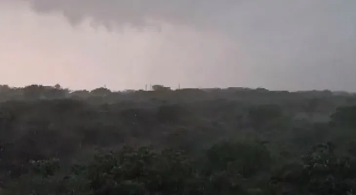 নয়াদিল্লির একাধিক জায়গায় ব্যাপক বৃষ্টি