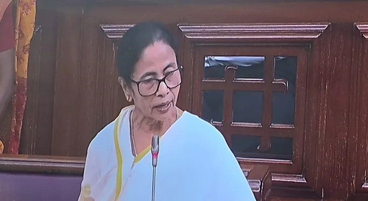 বাংলা ভাষা নিয়ে এরা আলোচনা চায় না: মুখ্যমন্ত্রী
