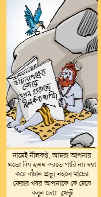 মজারু