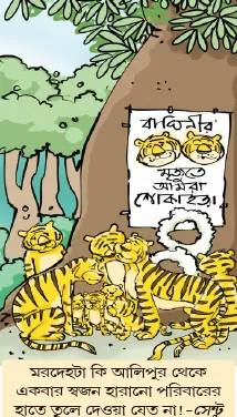 মজারু