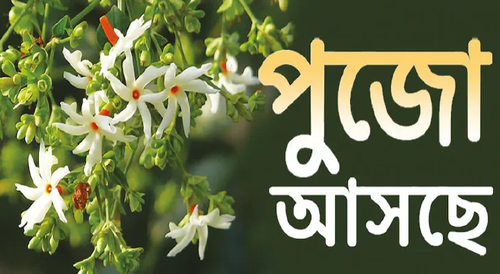 মনসারূপে দুর্গার আরাধনা বালুরঘাটের ফুলঘরায়