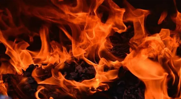 মহারাষ্ট্রের পালঘরে একটি রাসায়নিক তৈরির কারখানায় বিস্ফোরণ, মৃত ১, জখম ৪ শ্রমিক