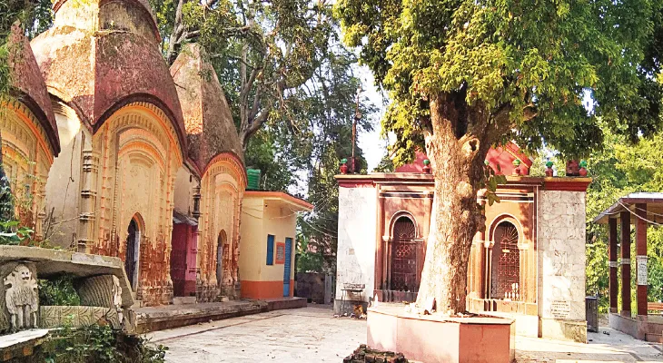 আজ দোহালিয়ায় দক্ষিণা কালীর আবির্ভাব তিথি নিয়ে প্রস্তুতি তুঙ্গে