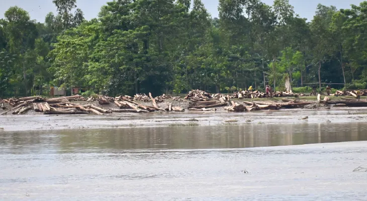 কোচবিহারে উত্তাল তোর্সা, অসংখ্য কাঠের সঙ্গে ভেসে এল জোড়া মৃতদেহও, চাঞ্চল্য