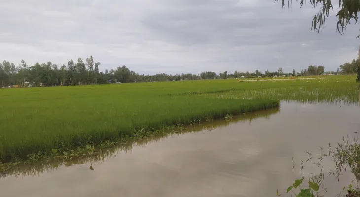 বাংলাদেশে দুধকুমার নদীর গতিপথ আটকানোয় বিপদে দিনহাটার চাষিরা