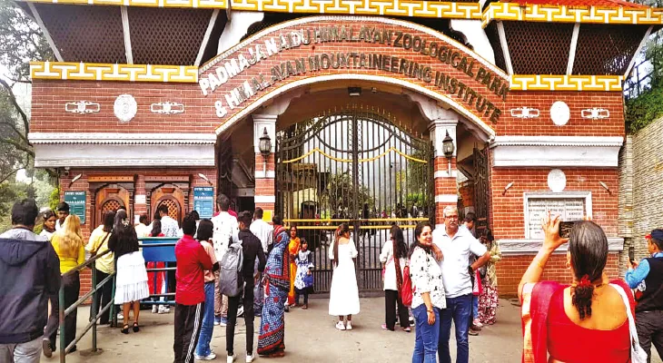দার্জিলিং-সিকিম-বক্সার পথে পর্যটকরা, খুলল টাইগার হিল, ছন্দে ফিরছে পাহাড়-ডুয়ার্স