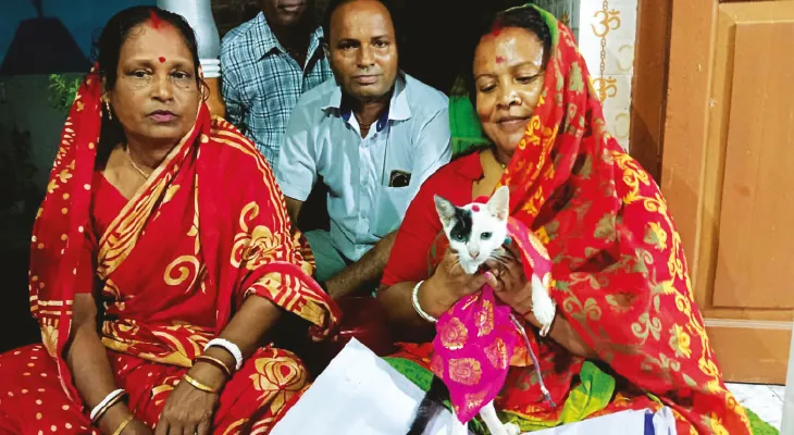লক্ষ্মী আরাধনার সঙ্গে পুজো বাড়ির বিড়ালেরও