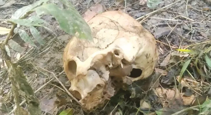 সুপারি বাগানে উদ্ধার মাথার খুলি