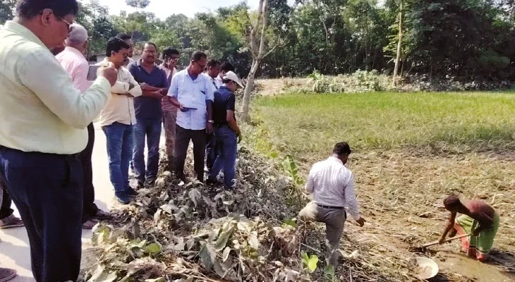 শালকুমারে ডলোমাইট মিশ্রিত পলি পড়ে নষ্ট আমন ধানের চাষ