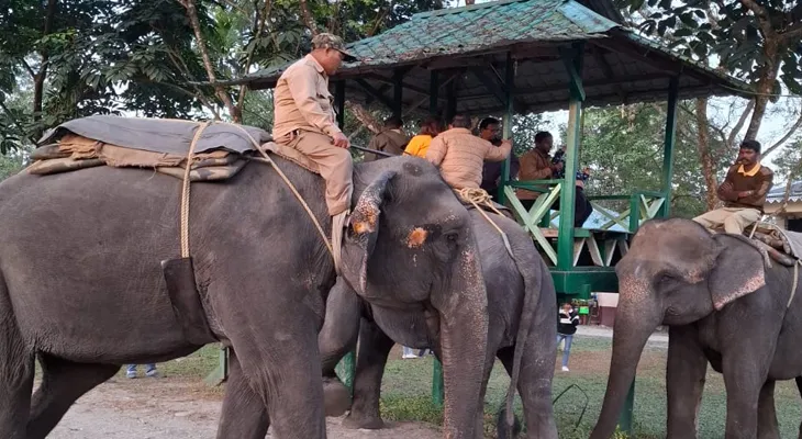 গোরুমারায় চালু হাতি সাফারি, অনলাইন বুকিংয়েই মিলছে রাইডের সুযোগ, চাহিদা তুঙ্গে, জলদাপাড়াতেও শুরু হবে শীঘ্রই