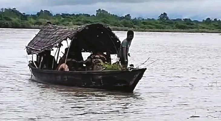 পরপর ধরা পড়ছে বাংলাদেশি, রাত পাহারায় মেখলিগঞ্জের ঝাড় সিংহাসন গ্রামের বাসিন্দারা