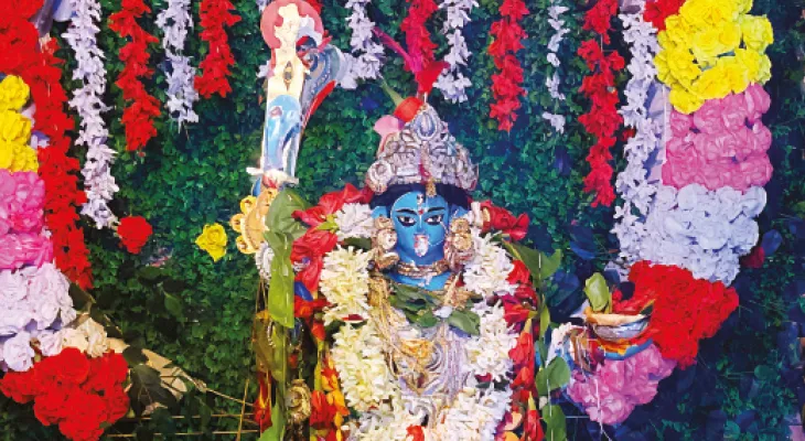 অমাবস্যা নয়, চতুদর্শীতে একসঙ্গে ৮ কালীর পুজো, ভিড় লক্ষাধিক মানুষের