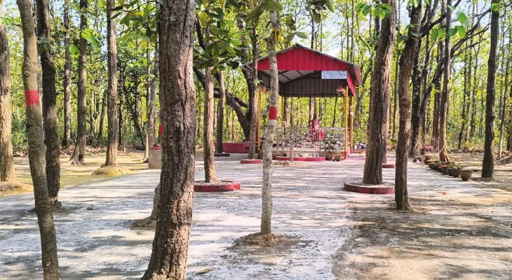 আউশগ্রামে আদুরিয়ার জঙ্গলে আলো নিভিয়ে চলে শালকো কালীর আরাধনা