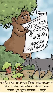 মজারু
