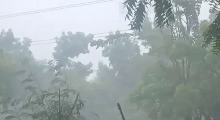তামিলনাড়ুর নাগাপট্টিনমে ভারী বৃষ্টি