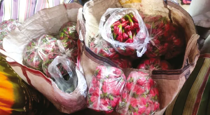 ঠাকুরনগর বাজারে হাজার পিস  জবার দর উঠল দু’হাজার টাকা