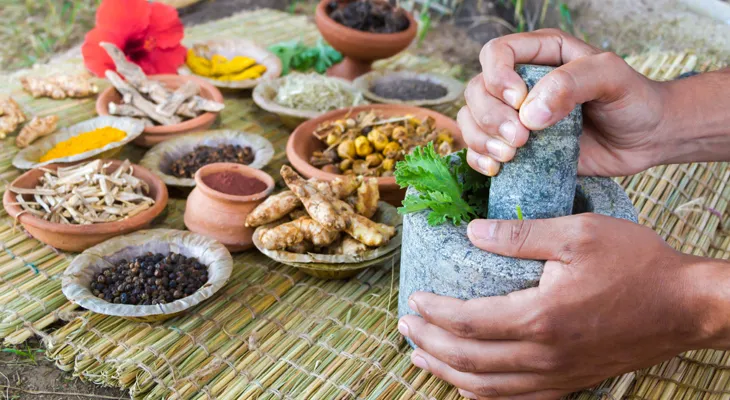 ঘরোয়া চোট আঘাতে ভেষজ নিরাময়